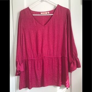 NWT-EVRI V-Neck Top- 0x